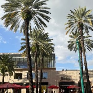 Meet your Posher, Jieun